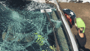 Its Fine Windshield Wiper GIF by Pit Viper