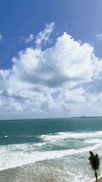 Puerto Rico Summer GIF