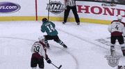happy ice hockey GIF by NHL