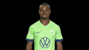 Bundesliga No GIF by VfL Wolfsburg