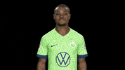 Lets Go Bundesliga GIF by VfL Wolfsburg