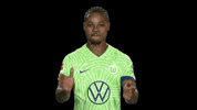 Bundesliga Applause GIF by VfL Wolfsburg