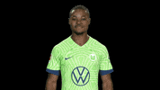Happy Party GIF by VfL Wolfsburg