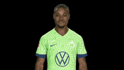 Three Points Win GIF by VfL Wolfsburg