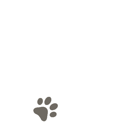 Cat Sticker by VetPartners