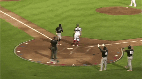 scoring minor league baseball GIF by Lansing Lugnuts
