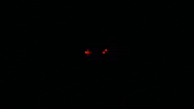 rocketpandagames panda rocket launch phantom breaker omnia rocket panda games GIF