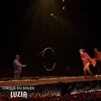 Fun Flipping GIF by Cirque du Soleil