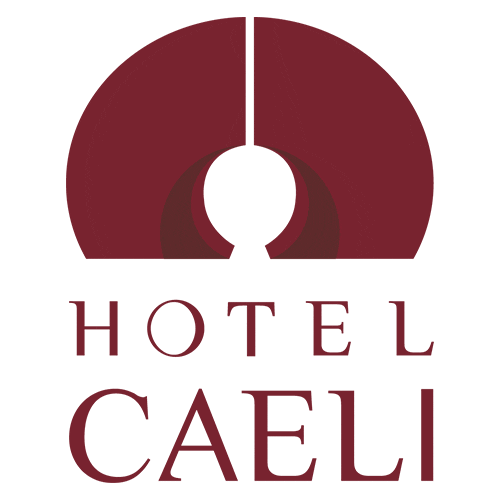 HotelCaeli giphyupload Sticker