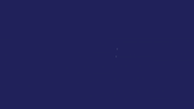 Tei 38 GIF by TEI