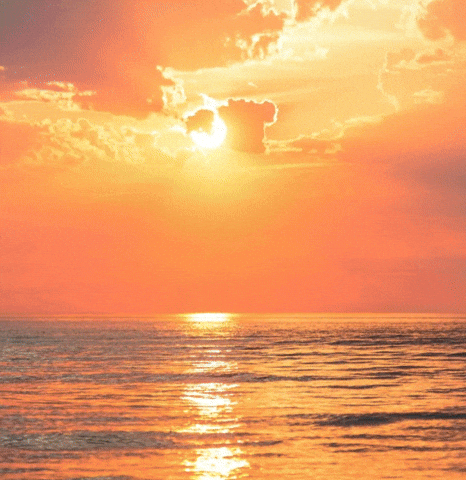 Hot Dog Football GIF by Bijan Mustardson