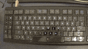 GIF by Demic