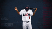 Pro GIF by USA Baseball