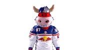 Rob Ice Hockey Sticker by EC Red Bull Salzburg