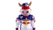 Rob Ice Hockey Sticker by EC Red Bull Salzburg