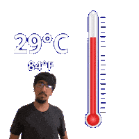 29 C Sticker