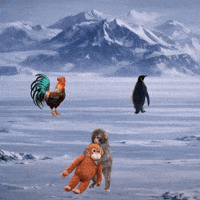 Japan Penguin GIF