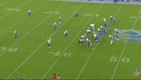 chrisblystonenfl giphygifmaker GIF