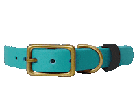 Dog Collar Sticker by Paws Of Kow