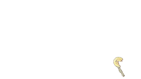 Fieldhockey Sticker by coelen