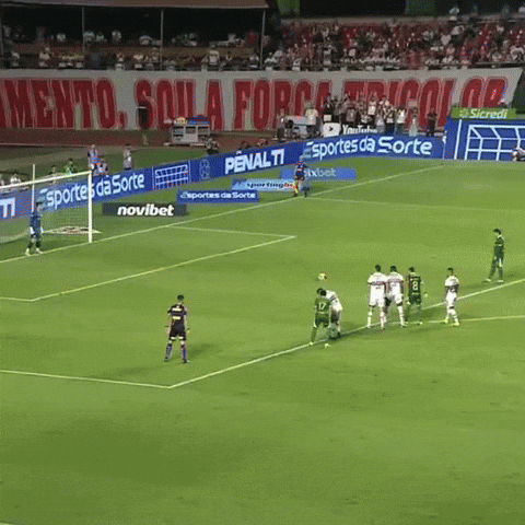 Sep Veiga GIF