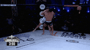 lightsoutxf fight mma fighting throw GIF
