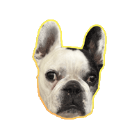 French Bulldog Love Sticker by Kim Alvarez-Cazzetto (kimac)