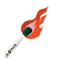 Fire Match Sticker by lamadriguerarecords
