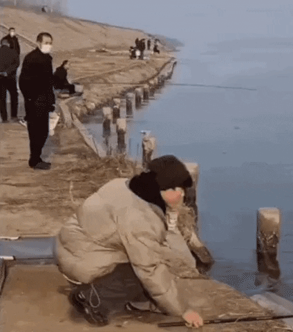 swanjun30 giphyupload GIF