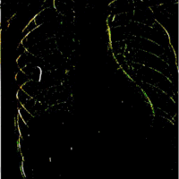 glitch gore GIF by Death Orgone