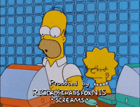 homer simpson episode 23 GIF