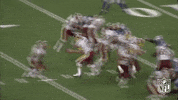 Washington Football Team GIF by NFL