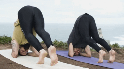 HSTVibroacustic giphygifmaker giphyattribution GIF