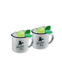Jose Cuervo Tradi Sticker by Licor 43 Mexico