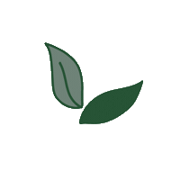 Plant Based Leaves Sticker by The Zingy Studio