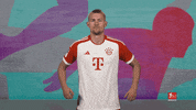 Fc Bayern Cheer GIF by Bundesliga