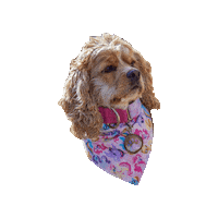 Cocker Spaniel Pretty Dog Sticker by Geekster Pets