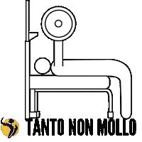 Palestra Body Building Sticker by Champion Training Sanda Martial Art