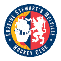 Field Hockey Esm Sticker by Y1Hockey