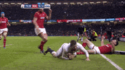 Come On Hug GIF by Guinness Six Nations