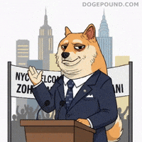 New York City Hello GIF by Doge Pound