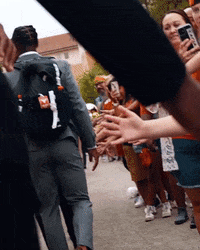 Texas Football Bevo GIF by Texas Longhorns