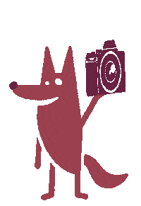 Wolf Sticker by Seeke Creative