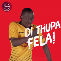 south african soccer GIF