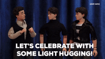 Jonas Brothers GIF by Adult Swim