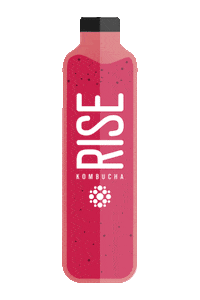 Bottle Hibiscus Sticker by Rise Kombucha
