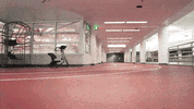 run running GIF