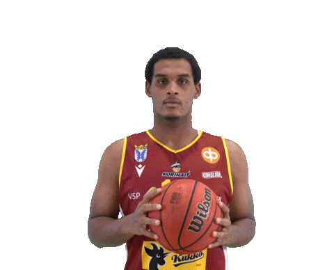 Sport Basketball Sticker by Basket_fi