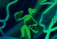 Praying Mantis Bug GIF