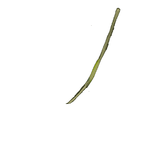 Olive Oil Palestine Sticker